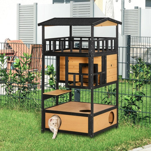 Feline Funhouse - Curated Little Paws