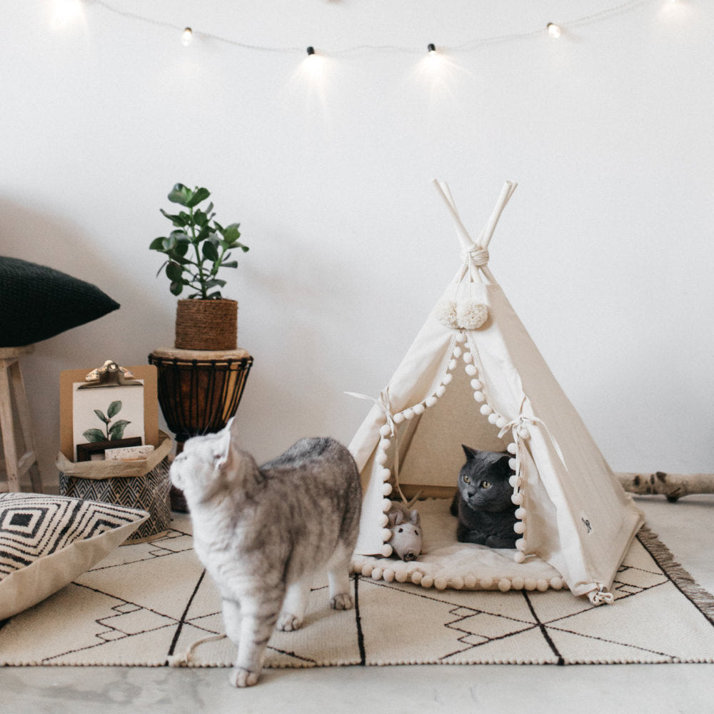 TeePee-Style Tent Bed - Curated Little Paws