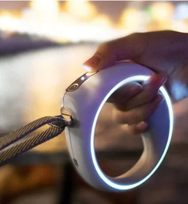 Smart Leash - Curated Little Paws