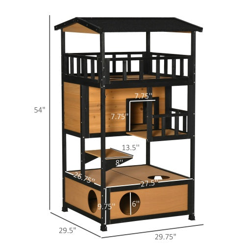 Feline Funhouse - Curated Little Paws