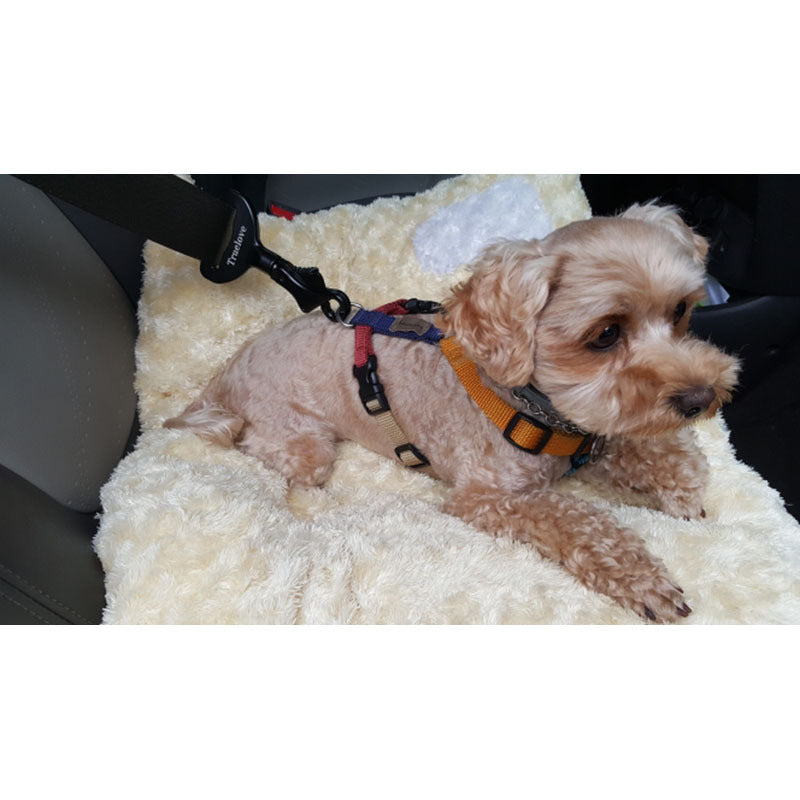 Quick Release Seat Belt Buckle - Curated Little Paws