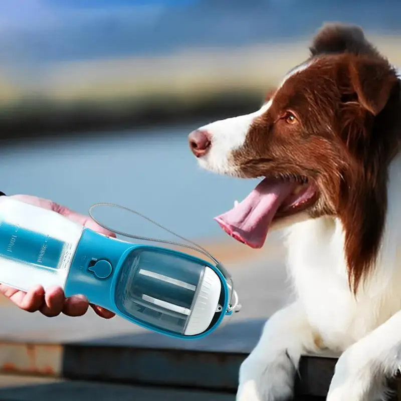 Portable Pet Water Cup with Food & Waste Bag Storage - Curated Little Paws