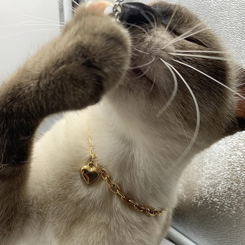 Chain Necklace with Heart Pendant - Curated Little Paws