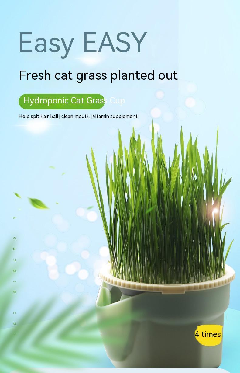 The Fresh Paws Planter – Soilless Cat Grass Cup with Hydroponic Seeds (4-Pack) - Curated Little Paws