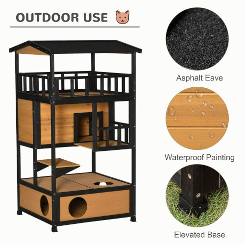Feline Funhouse - Curated Little Paws