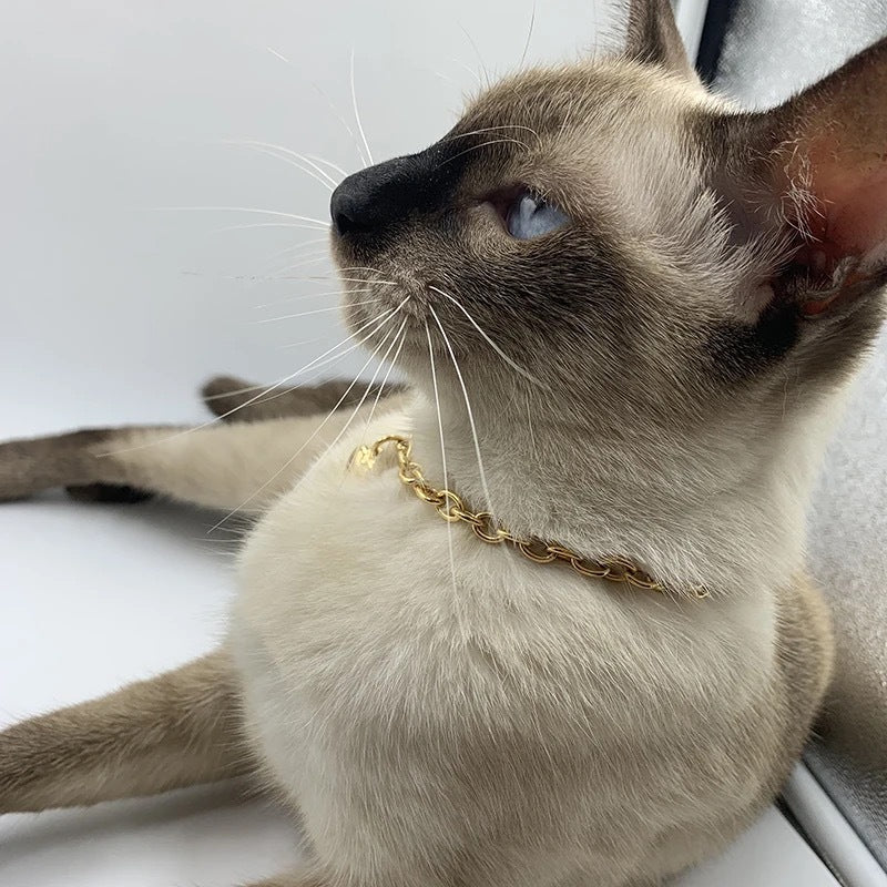Chain Necklace with Heart Pendant - Curated Little Paws