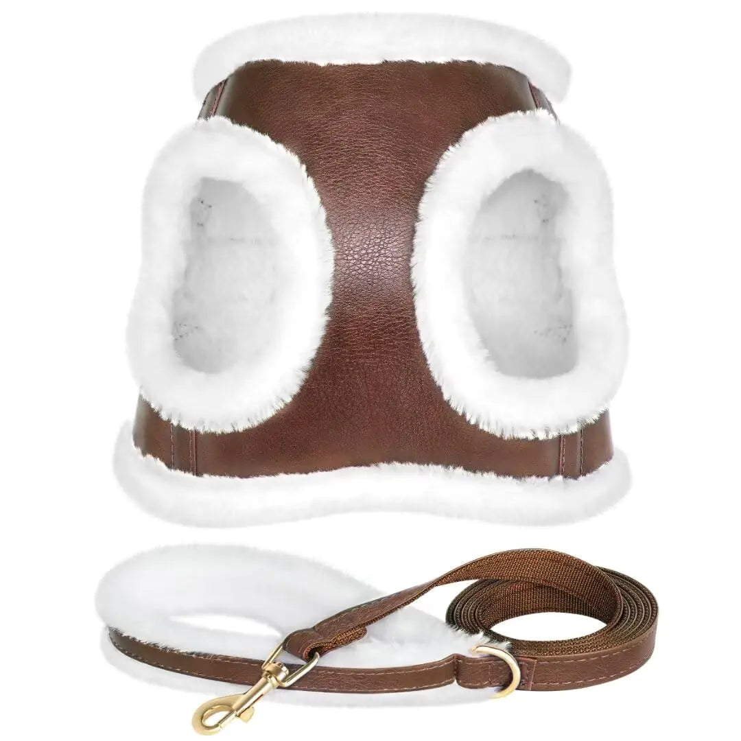 Padded Leather Dog Harness & Leash Set – Soft Fleece Lining - Curated Little Paws