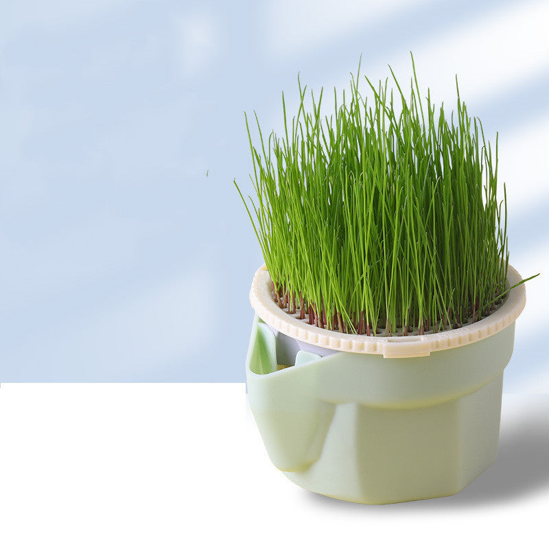 The Fresh Paws Planter – Soilless Cat Grass Cup with Hydroponic Seeds (4-Pack) - Curated Little Paws