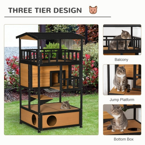 Feline Funhouse - Curated Little Paws