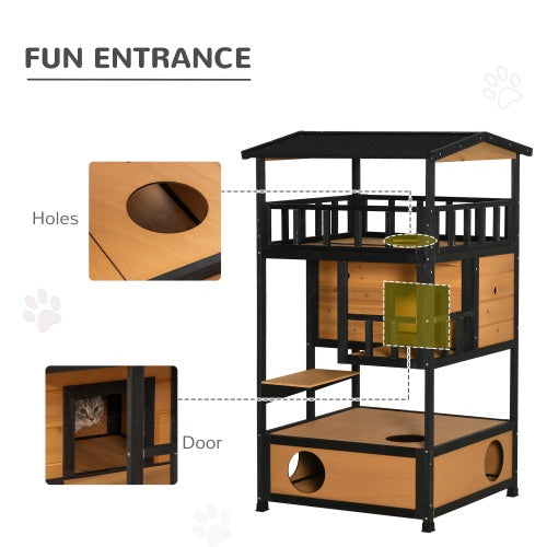 Feline Funhouse - Curated Little Paws