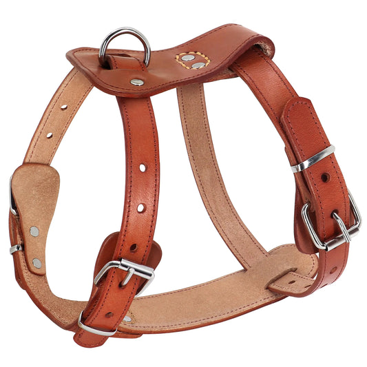 Genuine Leather Dog Harness – Adjustable & Durable